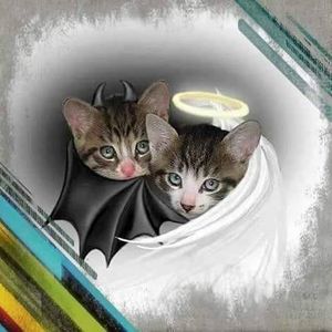 Meet your Posher, Magdalena